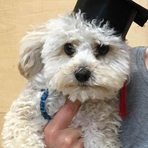 Meet your Posher, Mairi